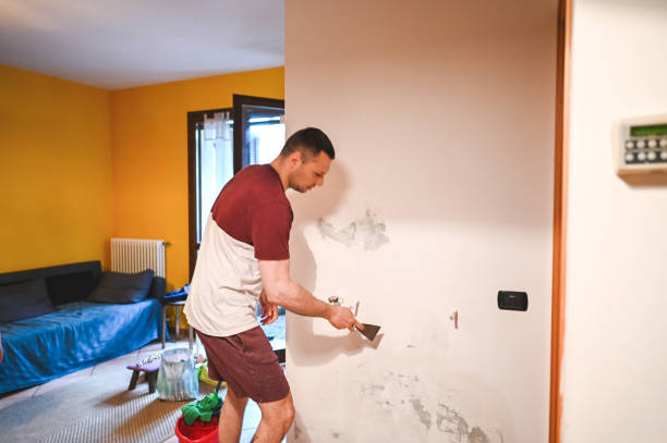 Best Emergency Mold Remediation in Broad Creek, NC